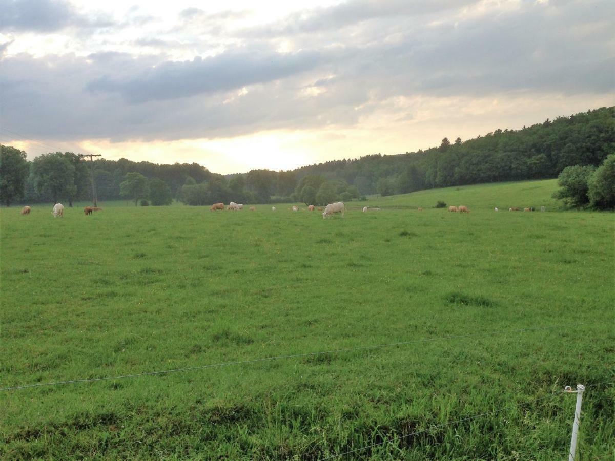 Ferienwohnung Baldus-Westerwald Mogendorf Екстер'єр фото